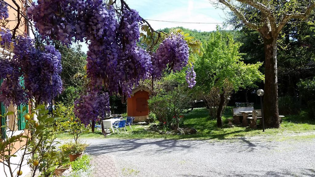 Villa Storica Calderino Monte San Pietro Exterior foto